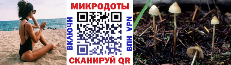 Псилоцибиновые грибы Cubensis  Рубцовск 